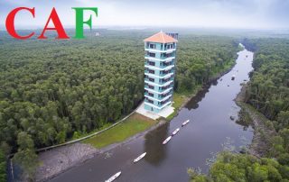 Dịch vụ kiểm toán ở huyện Mộc Hóa tỉnh Long An