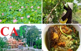 Dịch vụ kiểm toán ở huyện Vĩnh Hưng tỉnh Long An