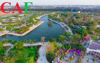 Dịch vụ kiểm toán tại huyện Bến Lức tỉnh Long An