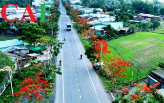 Dịch vụ kiểm toán tại huyện Cần Đước tỉnh Long An