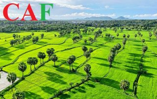 Giá Kiểm Toán trọn gói tại huyện Châu Thành tỉnh Tiền Giang