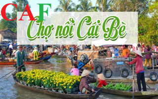 Kiểm Toán độc lập dịch vụ uy tín tại huyện Cai Lậy tỉnh Tiền Giang