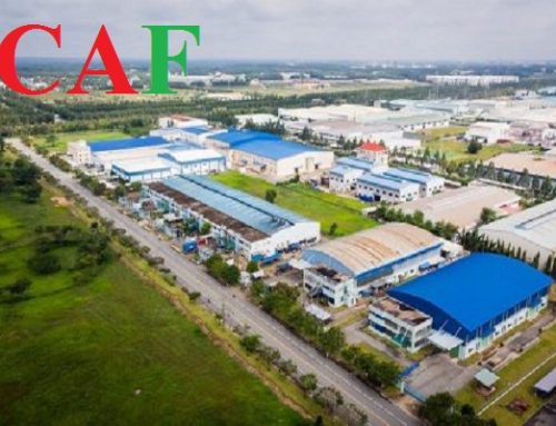 Dịch vụ thành lập công ty tại huyện Đức Hòa tỉnh Long An