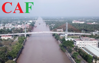 Kiểm toán độc lập tại huyện Chợ Gạo tỉnh Tiền Giang