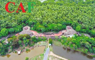 Dịch vụ thành lập công ty tại huyện Cần Đước tỉnh Long An