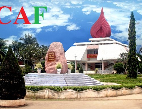 Dịch vụ kiểm toán độc lập tại huyện Mỏ Cày Nam tỉnh Bến Tre