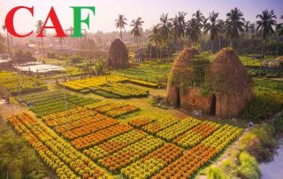Công ty dịch vụ Kiểm Toán tại huyện Chợ Lách tỉnh Bến Tre