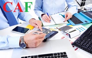 Tax advisory services in Chợ Lách district, Bến Tre province.
