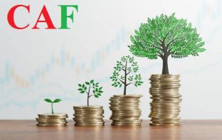 Dịch vụ Kế Toán trọn gói Tại thành Phố Cao Lãnh Tỉnh Đồng Tháp
