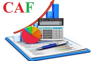 Dịch vụ kế toán chuyên nghiệp tại Huyện Mỏ Cày Nam Tỉnh Bến Tre
