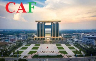 Dịch vụ Kiểm Toán trọn gói tại tỉnh Bình Dương