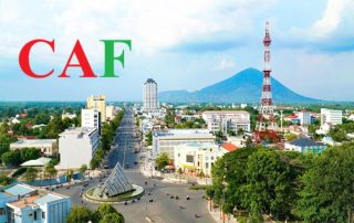 Dịch vụ kiểm toán chuyên nghiệp tại thành phố Tây Ninh