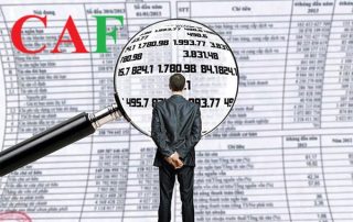 Công ty kiểm toán chuyên nghiệp tại huyện Tân Châu tỉnh Tây Ninh